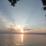 Protection des espèces et protection de l&rsquo;économie