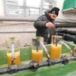 La situation de la pisciculture de Rives à Thonon